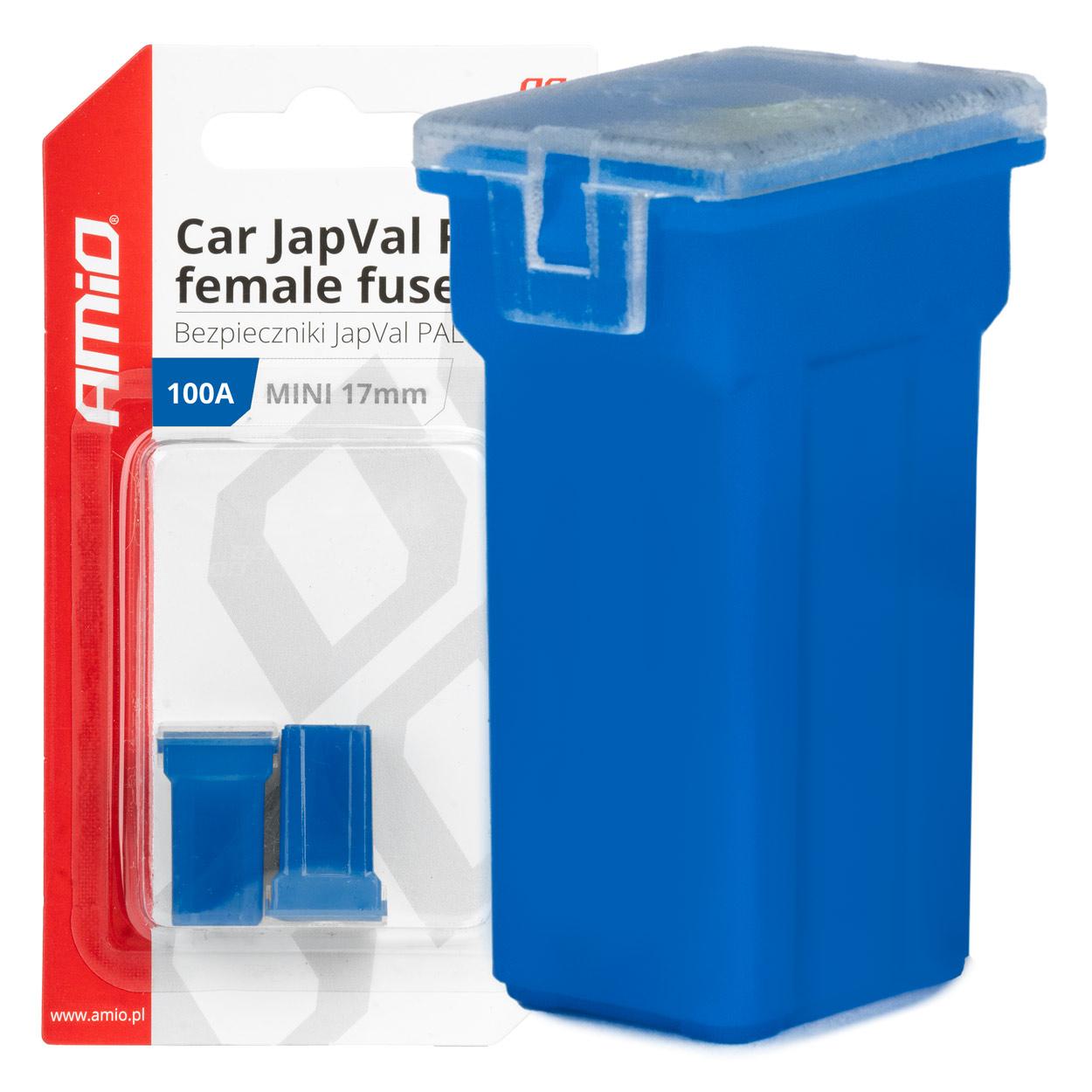 Car JapVal PAL hun-sikringer 100A (2 stk)